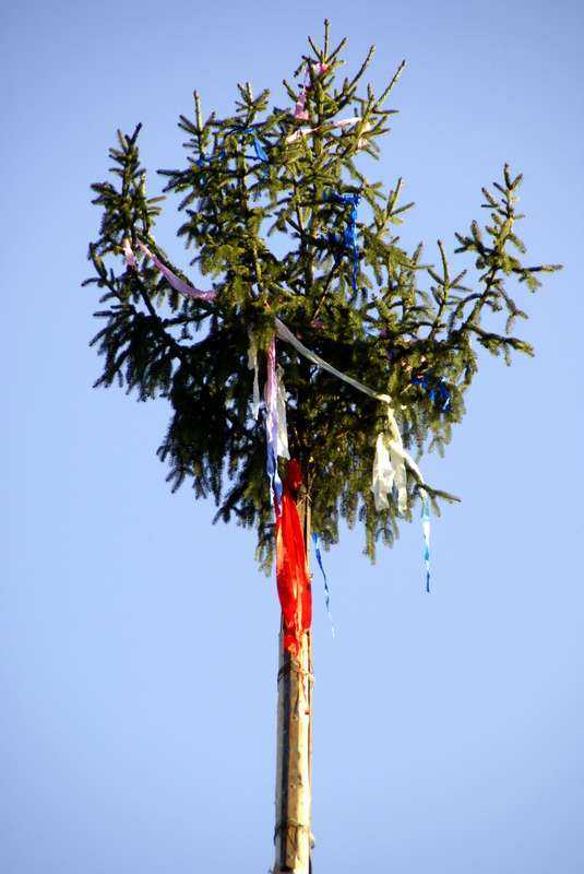 Maifest 2008 Bild Nr.002